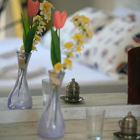 Bed & Breakfast Cunda Roka *